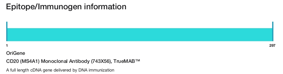 CD20 (MS4A1) Monoclonal Antibody (743X56), TrueMAB&trade;