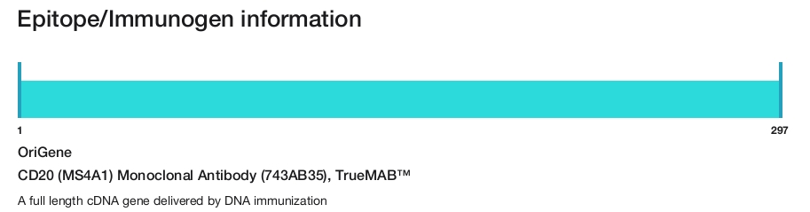 CD20 (MS4A1) Monoclonal Antibody (743AB35), TrueMAB&trade;