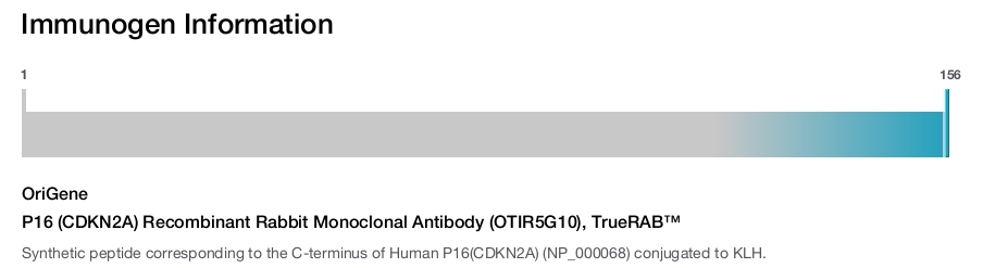 P16 (CDKN2A) Recombinant Rabbit Monoclonal Antibody (OTIR5G10), TrueRAB&trade;