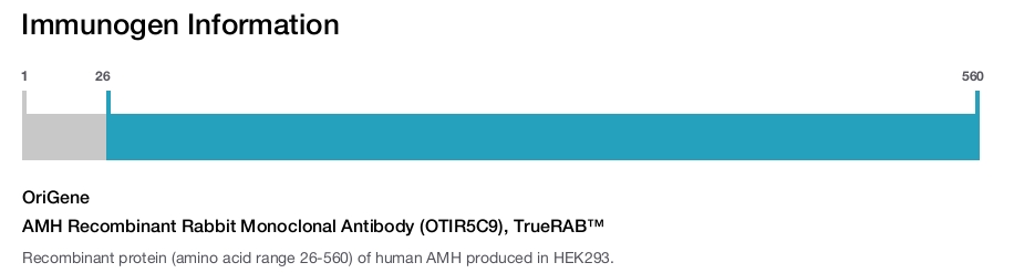 AMH Recombinant Rabbit Monoclonal Antibody (OTIR5C9), TrueRAB&trade;