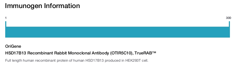 HSD17B13 Recombinant Rabbit Monoclonal Antibody (OTIR5C10), TrueRAB&trade;