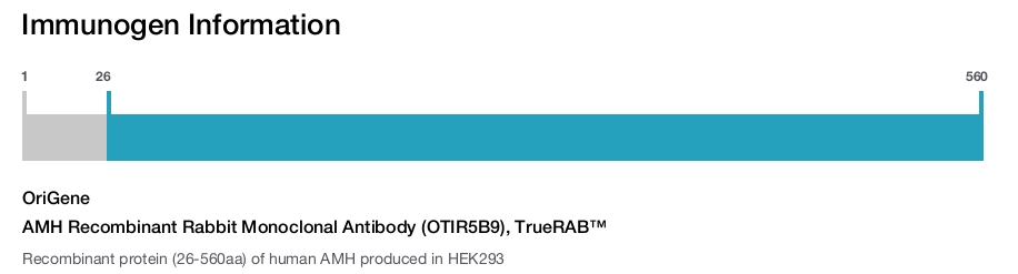 AMH Recombinant Rabbit Monoclonal Antibody (OTIR5B9), TrueRAB&trade;