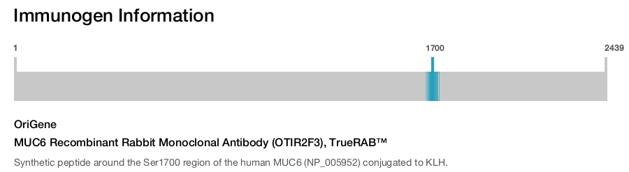 MUC6 Recombinant Rabbit Monoclonal Antibody (OTIR2F3), TrueRAB&trade;