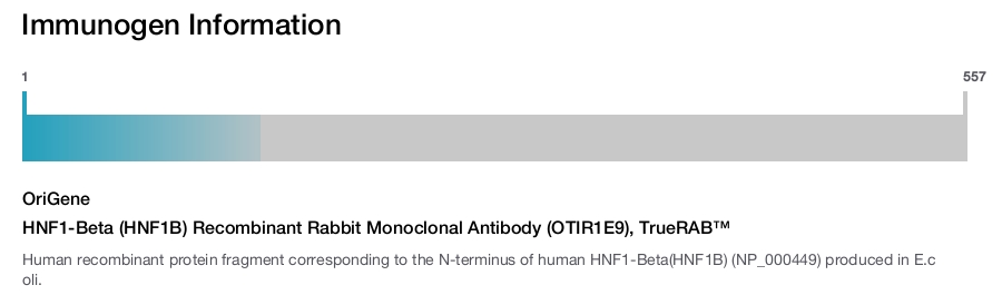 HNF1-Beta (HNF1B) Recombinant Rabbit Monoclonal Antibody (OTIR1E9), TrueRAB&trade;