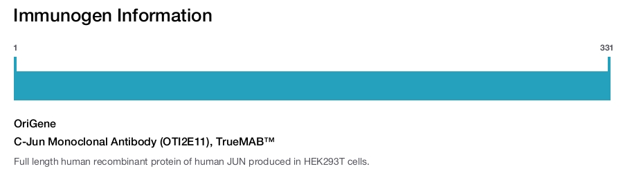 C-Jun Monoclonal Antibody (OTI2E11), TrueMAB&trade;