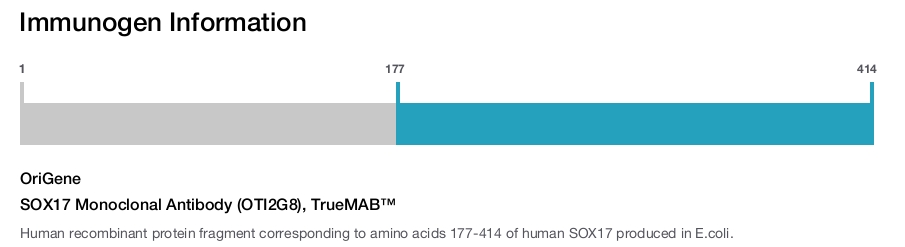 SOX17 Monoclonal Antibody (OTI2G8), TrueMAB&trade;