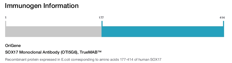 SOX17 Monoclonal Antibody (OTI5G6), TrueMAB&trade;