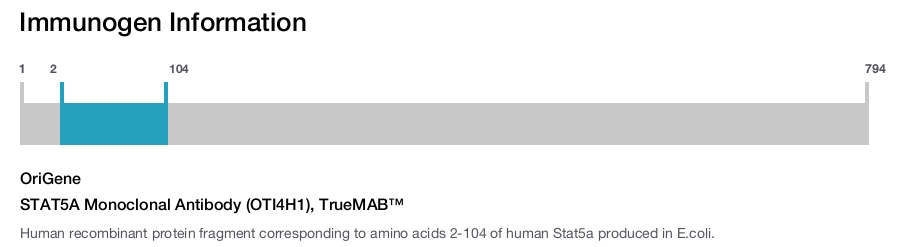 STAT5A Monoclonal Antibody (OTI4H1), TrueMAB&trade;