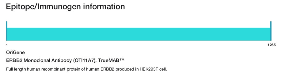 ERBB2 Monoclonal Antibody (OTI11A7), TrueMAB&trade;