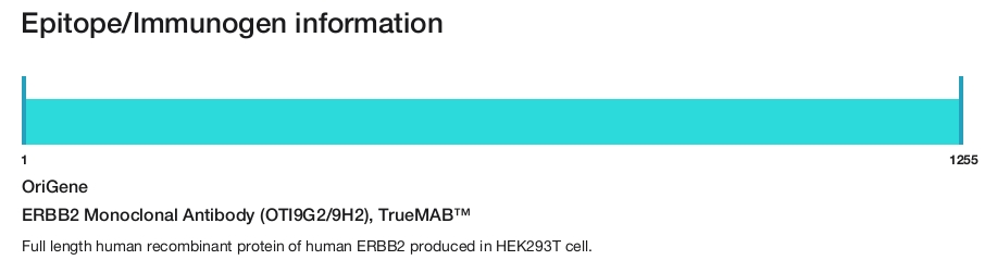 ERBB2 Monoclonal Antibody (OTI9G2/9H2), TrueMAB&trade;