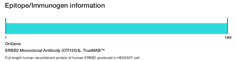 ERBB2 Monoclonal Antibody (OTI12G4), TrueMAB&trade;