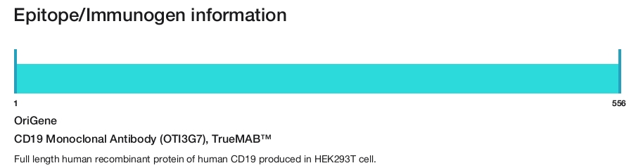 CD19 Monoclonal Antibody (OTI3G7), TrueMAB&trade;