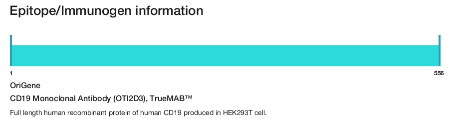 CD19 Monoclonal Antibody (OTI2D3), TrueMAB&trade;