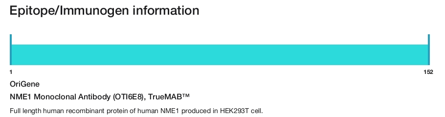NME1 Monoclonal Antibody (OTI6E8), TrueMAB&trade;