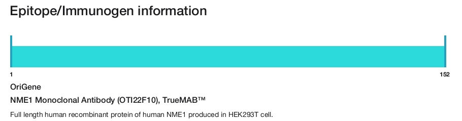 NME1 Monoclonal Antibody (OTI22F10), TrueMAB&trade;