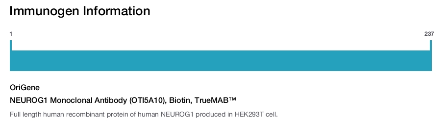 NEUROG1 Monoclonal Antibody (OTI5A10), Biotin, TrueMAB&trade;