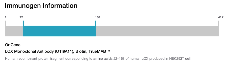 LOX Monoclonal Antibody (OTI9A11), Biotin, TrueMAB&trade;