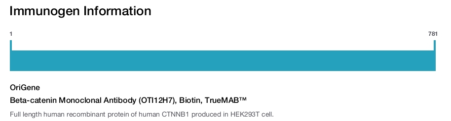 Beta-catenin Monoclonal Antibody (OTI12H7), Biotin, TrueMAB&trade;