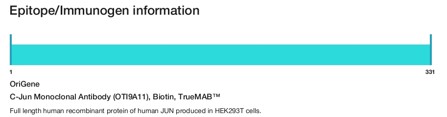 C-Jun Monoclonal Antibody (OTI9A11), Biotin, TrueMAB&trade;