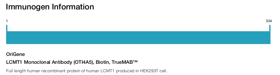 LCMT1 Monoclonal Antibody (OTI4A5), Biotin, TrueMAB&trade;