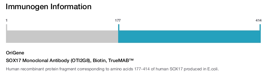 SOX17 Monoclonal Antibody (OTI2G8), Biotin, TrueMAB™