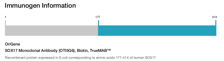 SOX17 Monoclonal Antibody (OTI5G6), Biotin, TrueMAB&trade;