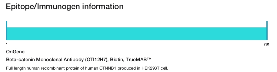 Beta-catenin Monoclonal Antibody (OTI12H7), Biotin, TrueMAB&trade;
