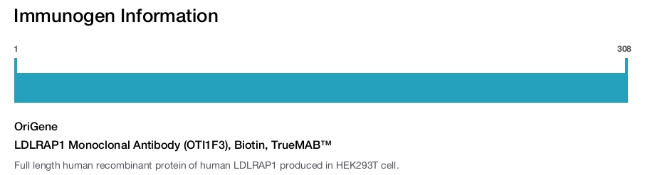 LDLRAP1 Monoclonal Antibody (OTI1F3), Biotin, TrueMAB&trade;