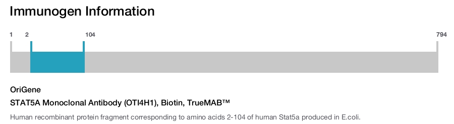 STAT5A Monoclonal Antibody (OTI4H1), Biotin, TrueMAB™