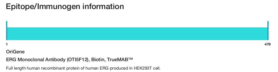 ERG Monoclonal Antibody (OTI5F12), Biotin, TrueMAB&trade;