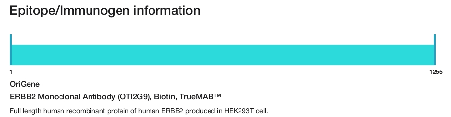 ERBB2 Monoclonal Antibody (OTI2G9), Biotin, TrueMAB&trade;