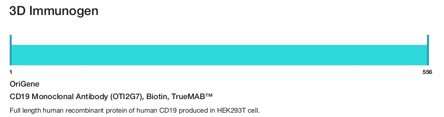 CD19 Monoclonal Antibody (OTI2G7), Biotin, TrueMAB&trade;