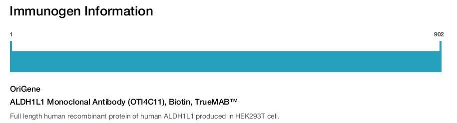ALDH1L1 Monoclonal Antibody (OTI4C11), Biotin, TrueMAB™