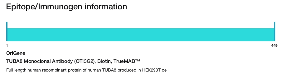 TUBA8 Monoclonal Antibody (OTI3G2), Biotin, TrueMAB&trade;