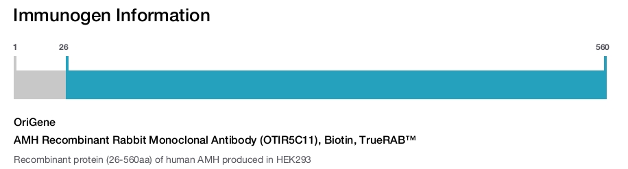 AMH Recombinant Rabbit Monoclonal Antibody (OTIR5C11), Biotin, TrueRAB&trade;