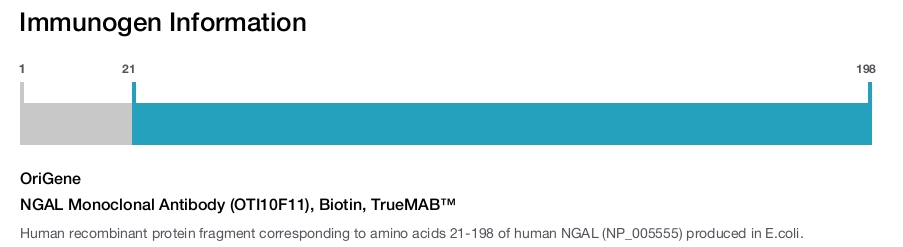 NGAL Monoclonal Antibody (OTI10F11), Biotin, TrueMAB&trade;