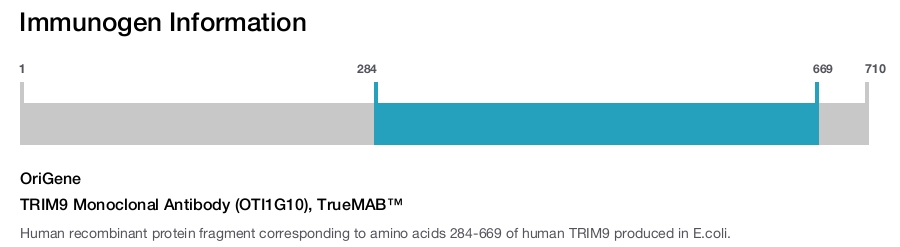TRIM9 Monoclonal Antibody (OTI1G10), TrueMAB&trade;