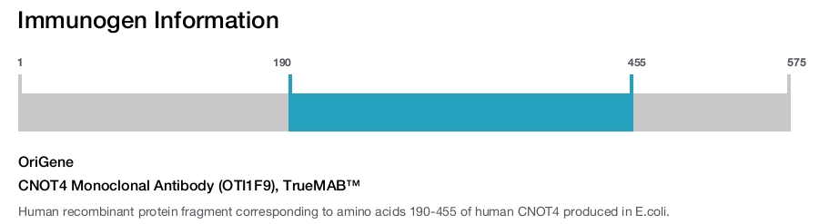 CNOT4 Monoclonal Antibody (OTI1F9), TrueMAB&trade;