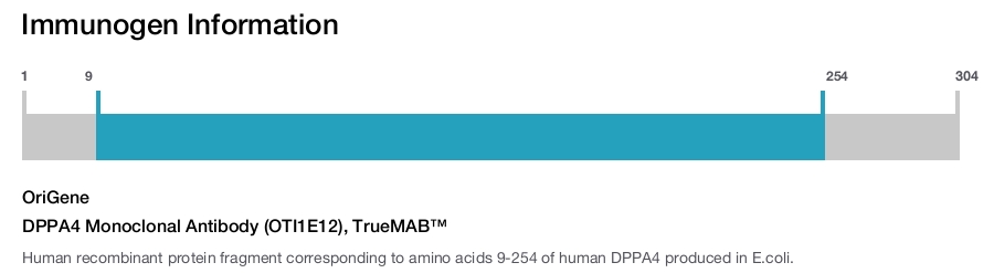 DPPA4 Monoclonal Antibody (OTI1E12), TrueMAB&trade;