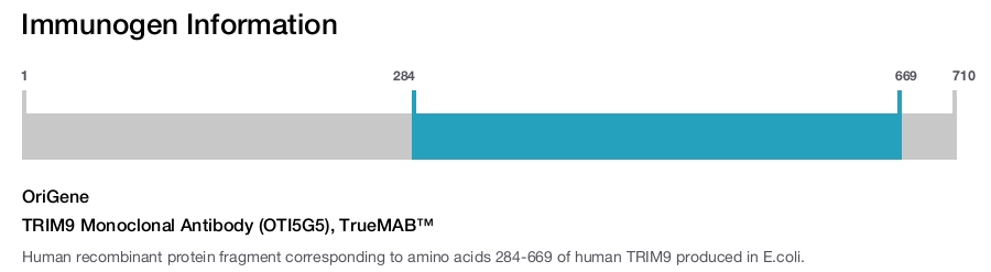 TRIM9 Monoclonal Antibody (OTI5G5), TrueMAB&trade;