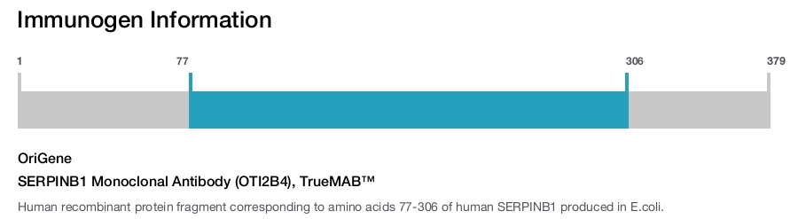 SERPINB1 Monoclonal Antibody (OTI2B4), TrueMAB&trade;