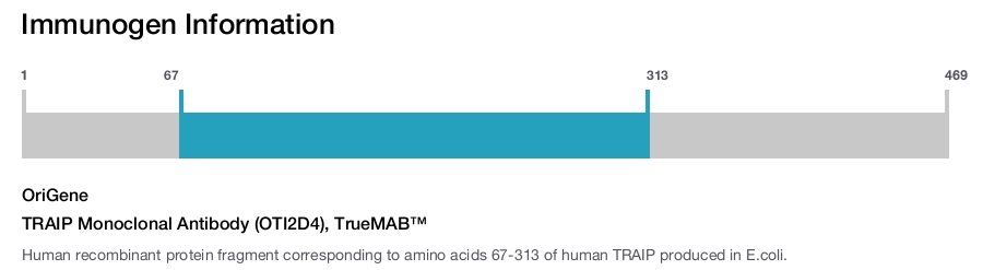 TRAIP Monoclonal Antibody (OTI2D4), TrueMAB&trade;