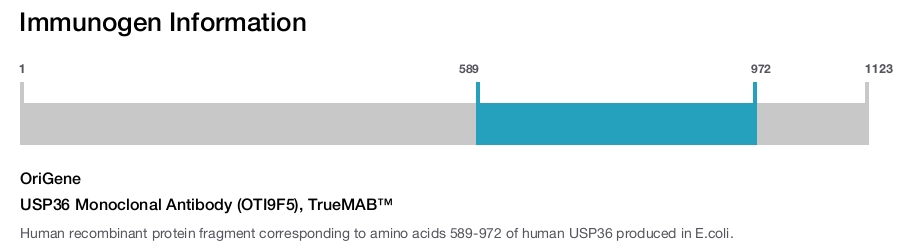 USP36 Monoclonal Antibody (OTI9F5), TrueMAB&trade;