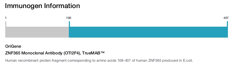 ZNF365 Monoclonal Antibody (OTI2F4), TrueMAB&trade;