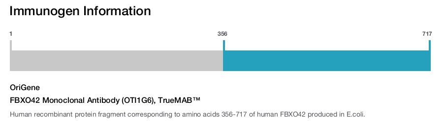 FBXO42 Monoclonal Antibody (OTI1G6), TrueMAB&trade;
