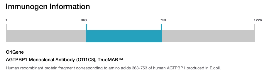 AGTPBP1 Monoclonal Antibody (OTI1C8), TrueMAB&trade;