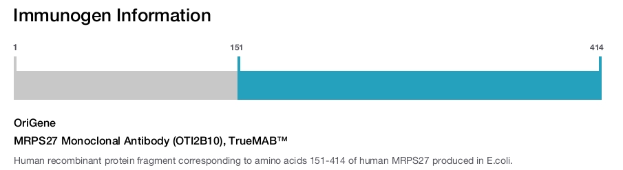 MRPS27 Monoclonal Antibody (OTI2B10), TrueMAB&trade;