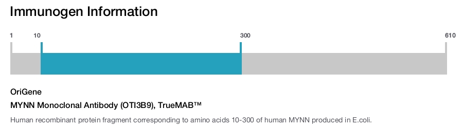 MYNN Monoclonal Antibody (OTI3B9), TrueMAB&trade;