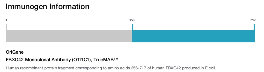 FBXO42 Monoclonal Antibody (OTI1C1), TrueMAB&trade;
