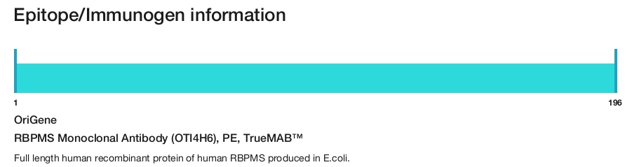 RBPMS Monoclonal Antibody (OTI4H6), PE, TrueMAB&trade;